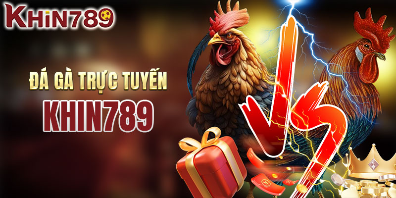 Trải nghiệm đá gà trực tuyến đẳng cấp tại KHIN789