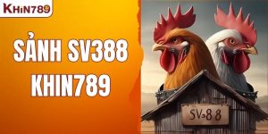 Sảnh SV388 – Trải Nghiệm Cá Cược Đá Gà Hợp Pháp Tại KHIN789